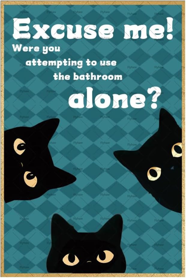 Home Alone Bathroom - Извините, вы пытался посетить туалет в