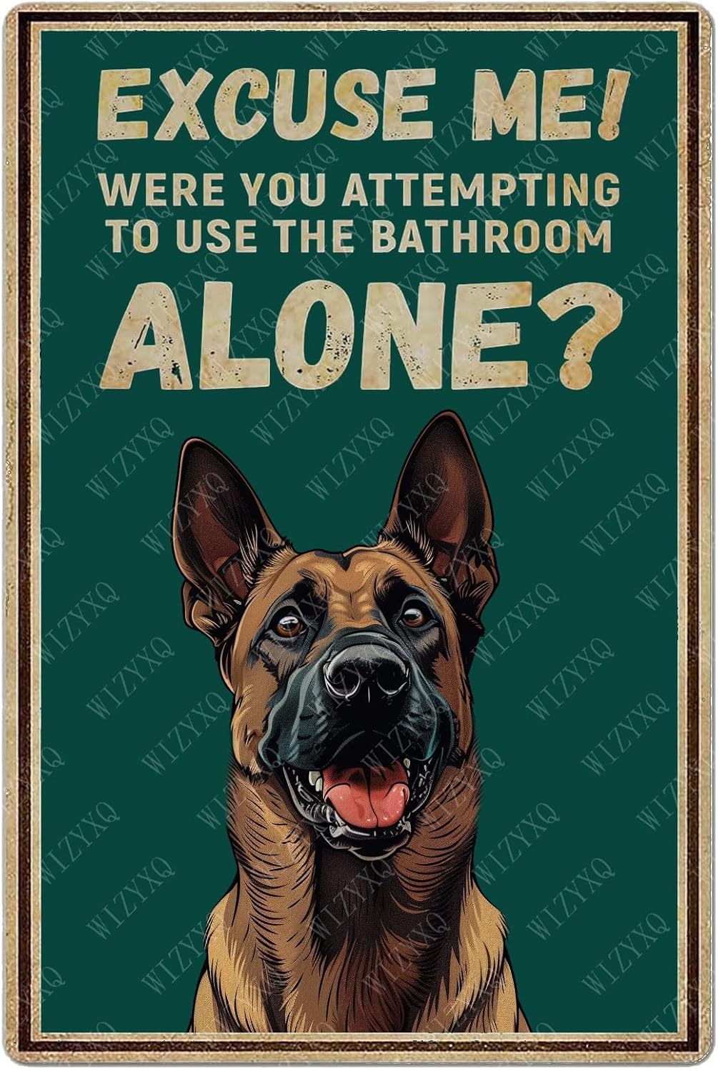 Home Alone Bathroom - Металлические таблички: «Извините, вы пытался ли