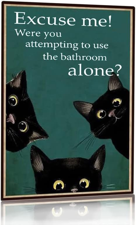 Забавная металлическая табличк – обзор и цена Home Alone Bathroom